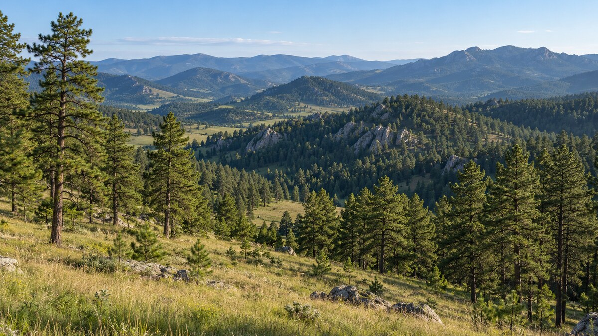 Black Hills landscape