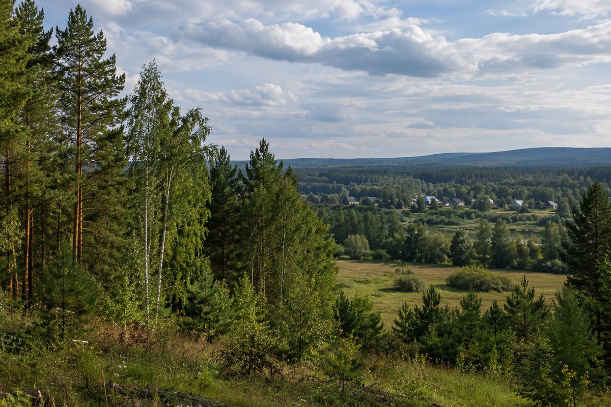 Mixed woodland and village near Taishet